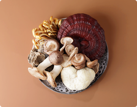 The History of Functional Mushrooms